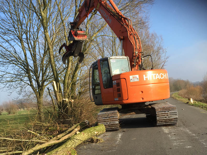 Verwijderen van houtkanten te Oost-Vlaanderen